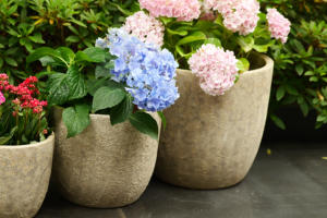 Pots de fleurs modernes classiques en céramique émaillée durables avec drainage pour plantes d'intérieur et bonsaïs - Vente en gros pour usage au sol en jardin - Product Image 4