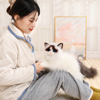 Jouets en peluche sur mesure Simulation mignonne d'animal de ferme en peluche Ragdoll chat en peluche réaliste chat Animal