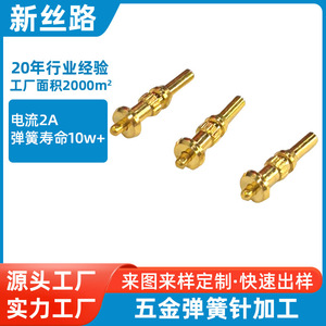 Broches à ressort conductrices XSL 040 (2026P0G040) pour antennes de charge d'appareils intelligents - Product Image 5