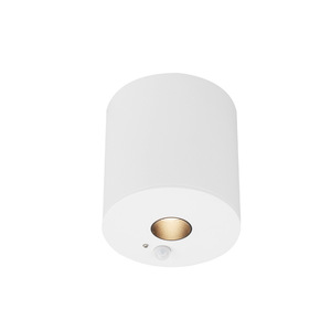 ไฟดาวน์ไลท์ฝังฝ้าเพดาน LED สีดำ 4100K แสงขาวธรรมชาติ IP20 ใช้ไฟ AC สำหรับเชิงพาณิชย์ วัสดุอะลูมิเนียม สำหรับใช้ภายในอาคาร - Product Image 2