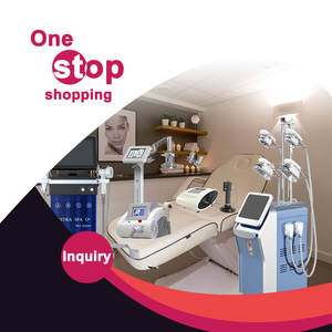 Máquina PEMF Portátil de Fisioterapia y Masaje Muscular con Magnetoterapia para Alivio del Dolor en Caballos de Carreras, Perros, Gatos y Mascotas (ODM/OEM) - Product Image 5