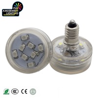 Vente en gros 24V E10 RGB LED Point Lights Pleines couleurs Lumière de carnaval extérieur pour parc à thème IP65 Corps en plastique