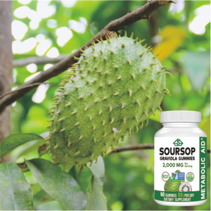 เยลลี่แกวเวียโล OEM สำหรับผู้ใหญ่ อาหารเสริมสารต้านอนุมูลอิสระ เสริมภูมิคุ้มกัน สมุนไพรเพื่อสุขภาพ บรรจุ 60 เม็ด สำหรับผู้ชายและผู้หญิง - Product Image 5