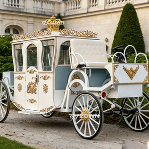 Promotion exceptionnelle : fabricant de calèches royales, chariot de mariage, calèche électrique sans chevaux à vendre - Product Image 1