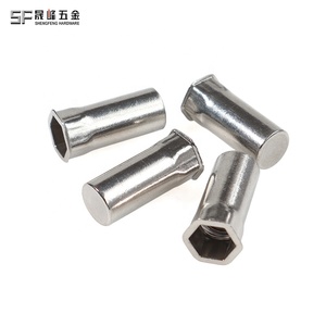 M3 M4 M6 M12 Chất lượng cao giảm đầu nửa Hex cơ thể mù đinh tán hạt cho tấm kim loại 304/316 thép không gỉ ren chèn - Product Image 4
