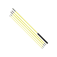 Mât de drapeau de voiture en époxy de 5 m, haute qualité, directement de l'usine, pour berlines, camping-cars, SUV et VTT, couleur personnalisable, garantie 12 mois