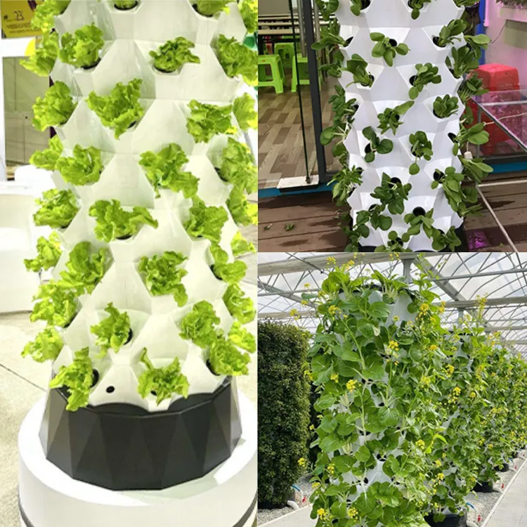 ระบบปลูกพืชไร้ดินแบบไฮโดรโปนิกส์ทาวเวอร์ ระบบปลูกพืชไร้ดินในร่ม ทาวเวอร์ปลูกแนวตั้ง 10 ชั้น 80 ต้นพร้อมปั๊ม