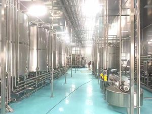 Presse à jus/presse à froid industrielle/ligne de production de jus de mangue - Product Image 3