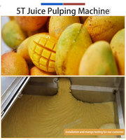 Fruitwas- en sapextractielijn 2-5T/H Mango Appel Ananas Sinaasappel Belletjesreinigings- en pulpmachine voor industrieel gebruik