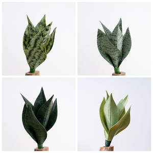 Planta Artificial de <span class=keywords><strong>Sansevieria</strong></span> con Hojas Verdes de Imitación de Serpiente CL20002 para Decoración de Interiores de Oficina <span class=keywords><strong>en</strong></span> Casa, Regalos de Inauguración - Product Image 5