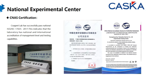 <span class=keywords><strong>Pantalla</strong></span> <span class=keywords><strong>de</strong></span> 10 Pulgadas para Auto, Android, WiFi, Táctil, GPS, Estéreo, Multimedia, Unidad Principal Android para Auto - Product Image 6