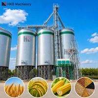 Silo de stockage personnalisé en acier galvanisé pour maïs, blé, riz, soja – Prix et coût compétitifs – À vendre