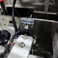 Dezoton Multifunctionele Automatische Horizontale Fruit- en Groenteverpakkingsmachine, Verpakkingsmachine voor verse levensmiddelen in kussenvormige zakken