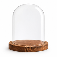 Cloche en verre à motif uni de style nordique avec base en bois naturel pour la préservation florale et la décoration de table