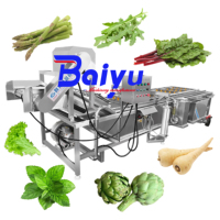Baiyu 304 RVS Fruit- en Groentebellenwasmachine voor Industriële Toepassingen