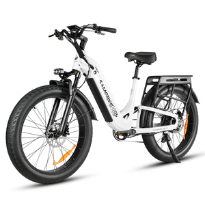 จัดส่งฟรี สินค้าในสหรัฐอเมริกา SAMEBIKE 4.0 จักรยานไฟฟ้าล้อโต โครงเหล็กคาร์บอนสูง จักรยานเสือภูเขาไฟฟ้า รองรับการดรอปชิปปิ้ง - Product Image 1