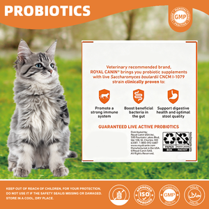 Probiotici per Gatti OEM ODM, Miscela Pura e Naturale per la Salute Digestiva e Immunitaria, 30 Bustine in Polvere per la Flora Intestinale - Product Image 3