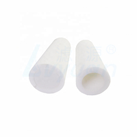 Filtres à eau industriels en plastique PE cylindriques blancs à surface lisse pour fabricants, 1-20 microns, 200 L/heure, traitement de l'eau