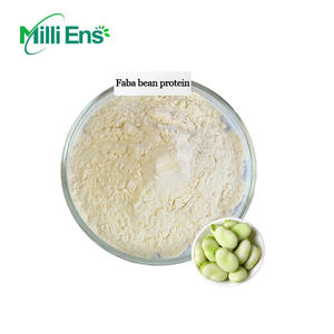 さまざまなファバビーンプロテインパウダー - Product Image 2