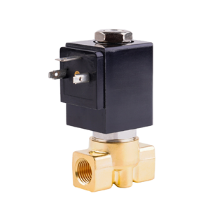 Vanne solénoïde 2 voies en laiton Ruby Seal pour machine à café vapeur 24V AC220V - Product Image 2
