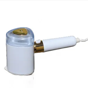 Salav Handheld Garment Steamer Portable Iron Light Weight Travel Steamer Press Iron With Transparent Water Tank & Boiler