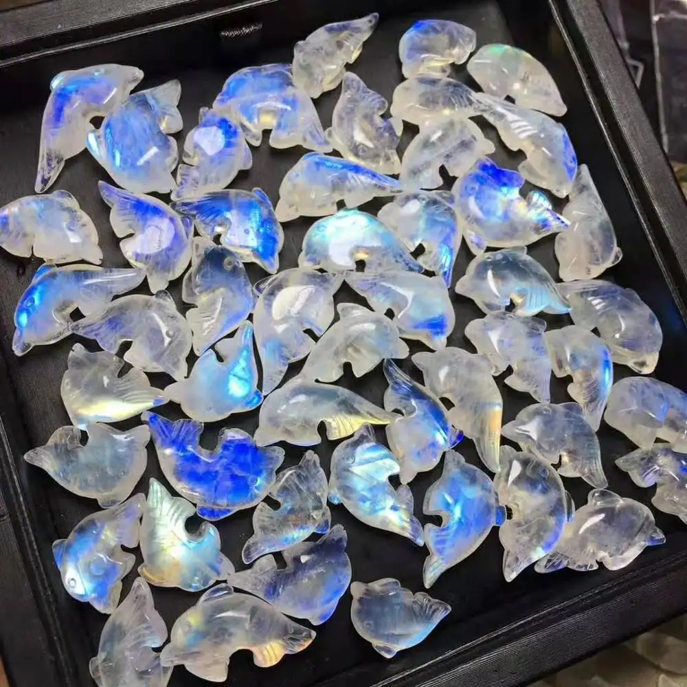 Natuurlijke Kwaliteit Kristallen Hanger Blauwe Maansteen Gesneden Dolfijn Kristal Ambachten
