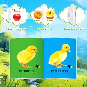 Vente en gros de livres d'apprentissage précoce personnalisés pour enfants, 1 lot de 10 livres d'alphabétisation encyclopédiques de ma première série, dix livres d'apprentissage - Product Image 6