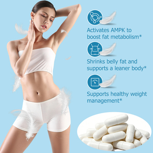 Capsules de haute qualité pour brûler la graisse abdominale, réduire la graisse viscérale, stimuler le métabolisme des graisses, favoriser une perte de poids saine - Product Image 4