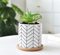 Pot en céramique Pot à succulentes Grand pot de fleurs géométrique de 3,5 pouces