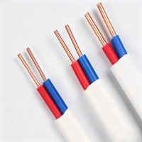 Abriebfestes PVC-ummanteltes BVVB 2*0,75/1,0/1,5 Kupferkern-Parallelkabel für Gebäude- und Gartenbeleuchtungsinstallationen
