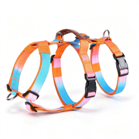 Harnais pour chien Gradient, anti-évasion et anti-traction, boucle sécurisée pour races moyennes et grandes, vente en gros en vrac