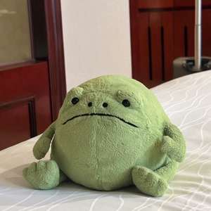 果冻猫瑞奇雨蛙可爱丑陋毛绒玩具儿童节日礼物pp棉填充超柔软舒缓礼物 - Product Image 4