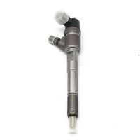 0 445 110 822 0445110822 Inyector de Combustible Common Rail de Alto Rendimiento 0445110817 0 445 110 817 Calidad Estable Probada