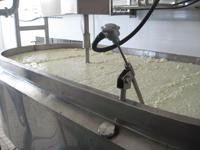 Ligne de transformation du fromage, machine à fabriquer du fromage, projet clé en main de fromage