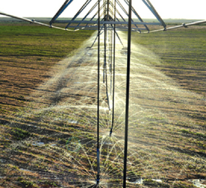 Avec fonction d'irrigation de <span class=keywords><strong>traduction</strong></span>, forte capacité d'escalade, haute efficacité de la machine d'irrigation à pointeur - Product Image 5