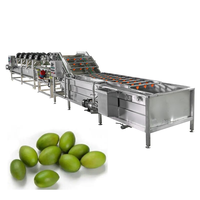 Cherry Tomaat Verwerking Olijf Tomaat Verwerking Productielijn