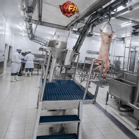 Solution clé en main pour l'équipement d'abattage porcin HACCP, machine d'abattage de porcs, coût de la machine de boucherie porcine, solution pour l'usine de transformation de la viande