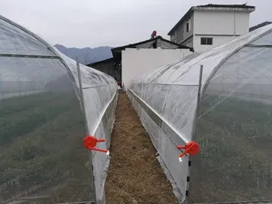 In Stock Low Cost Polytunnel Chicken Shed Plastic Film Tunnel Greenhouse For Planting Strawberry Vegetable