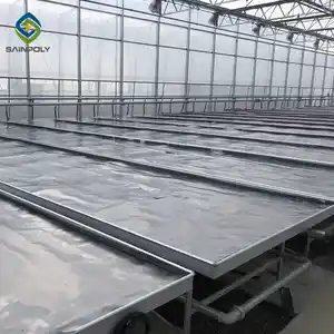 Nova chegada tomate greenhouse semed