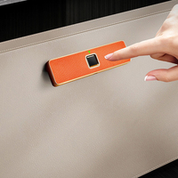 Serrure biométrique intelligente en cuir pour armoire à dossiers, serrure électronique Rechargeable par USB pour meubles et tiroirs