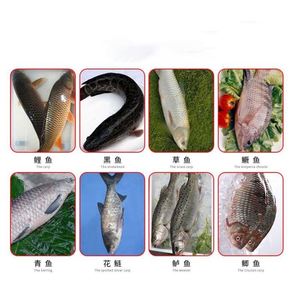 Hot Sale Automatic <b>Fish</b> Fillet <b>Machine</b> / <b>Fish</b> to Visceral Cleaning <b>Machine</b> / <b>Fish</b> <b>Processing</b> Machinery - Product Image 4