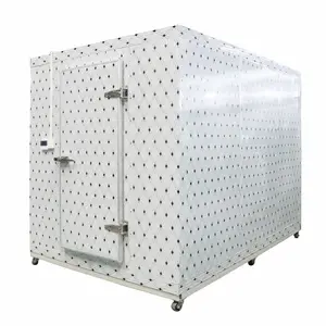 Đi bộ thương mại trong phòng kho lạnh Tủ đông Modular Blast container Hoa lưu trữ phòng lạnh giá thấp đi bộ trong phòng làm lạnh-