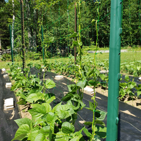Filet de treillis en plastique robuste de marque VIVA pour plantes grimpantes, découpe sur mesure pour tomates, concombres, fleurs et légumes