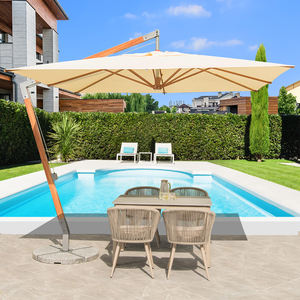 Sombrilla de Jardín Tipo Pagoda con Poste Lateral de Aluminio Resistente, Sombrilla de Playa, Sombrilla de Patio Exterior Impermeable, Diseño Moderno - Product Image 1