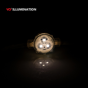 20 mét IP68 pixel <span class=keywords><strong>LED</strong></span> DC24V RGBW DMX lập trình vĩnh viễn Đèn ngoài trời cho Giáng sinh chiếu sáng - Product Image 2