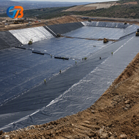 Geomembrana de HDPE Lisa Profesional al por Mayor, Rollo de Geomembrana de HDPE Lisa de 2 mm para Piscifactorías