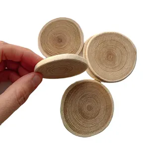 Wholesale Tree Disc Slice Without Tree Bark Small Size for Kids Craft 3.5-6CM