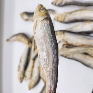 Snacks Liofilizados para Gatos, <span class=keywords><strong>Sardinas</strong></span> Liofilizadas, Peces Secos, Golosinas para Gatos, Snacks Liofilizados para Perros y Comida para Perros - Product Image 5