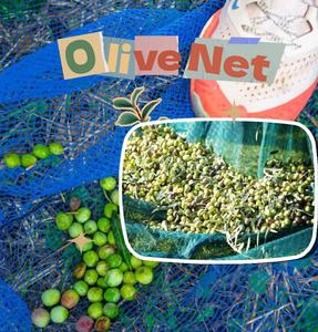 Filet de collecte d'olives vertes au meilleur <span class=keywords><strong>prix</strong></span> Filet de récolte d'olives direct d'usine 50gsm - Product Image 5
