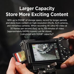 High Performance <b>Card</b> 256GB for Extreme UHS-I <b>Memory</b> QXA1/ QUAR/ QXCZ/ QXFN/ QQNR Serie Longyexing - Powering Global <b>Memory</b> & St - Product Image 3